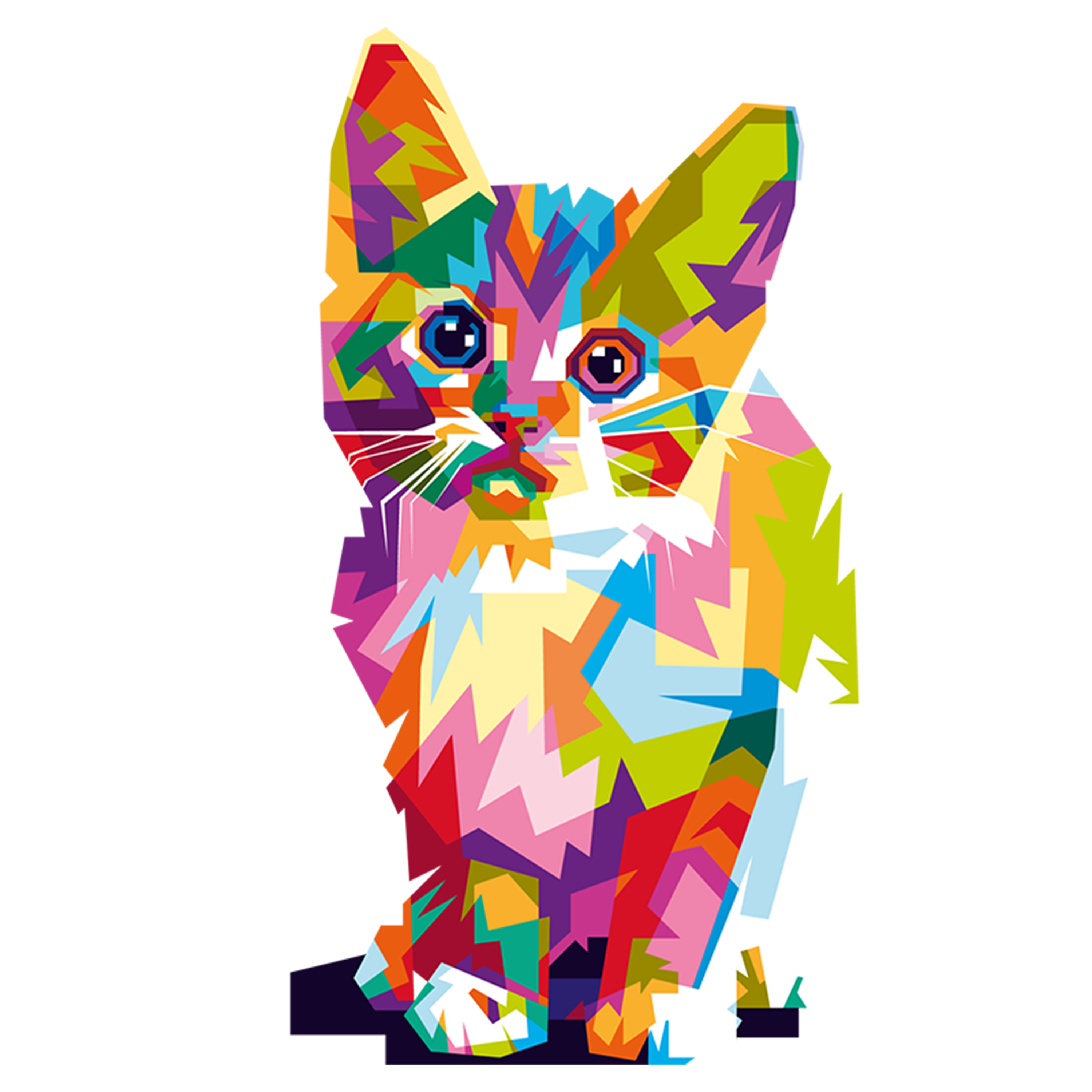 Kitten